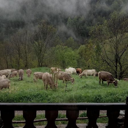 Can Serraima, Casa Rural A Prop De La Cerdanya Neva Экстерьер фото